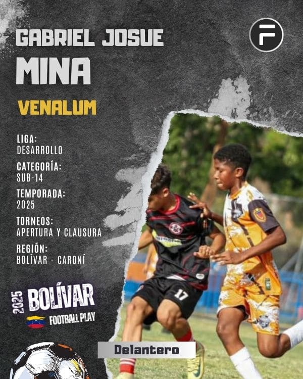 Gabriel Josue Mina