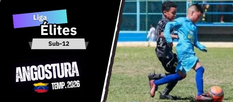 Classificação