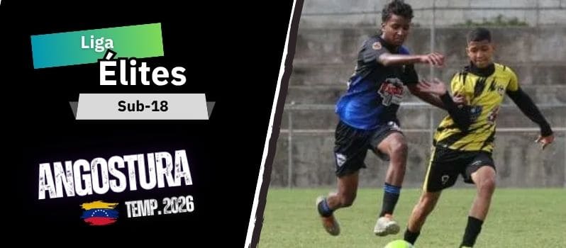 Classificação