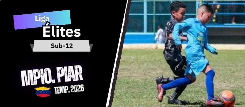 Classificação