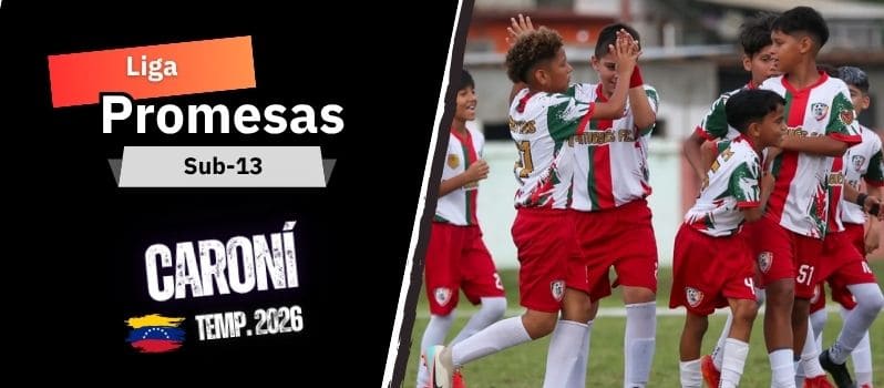 Classificação