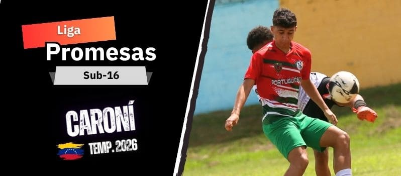 Classificação
