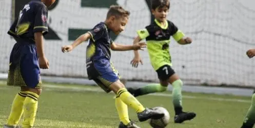 Fútbol Sub-12 Estado Lara